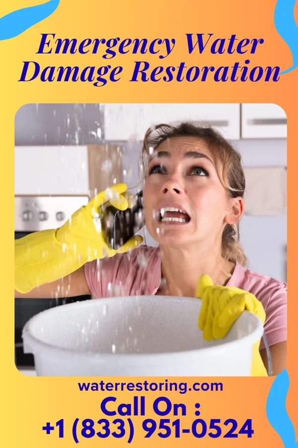Emergency Water Damage Restoration in New Sharon, IA