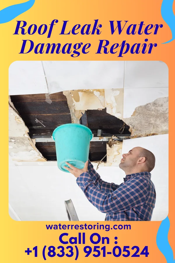 Roof Leak Water Damage Repair in New Sharon, IA